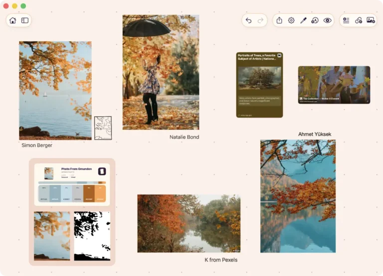 ArtDeckのボード。秋の写真リファレンス、動画、リンクカード、ラベル、抽出した線画スタディが1枚のキャンバスに並んでいる