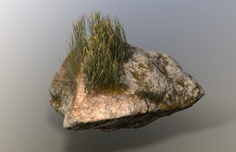 岩の上に草をカードで生やした作例（画像: Polytricity）