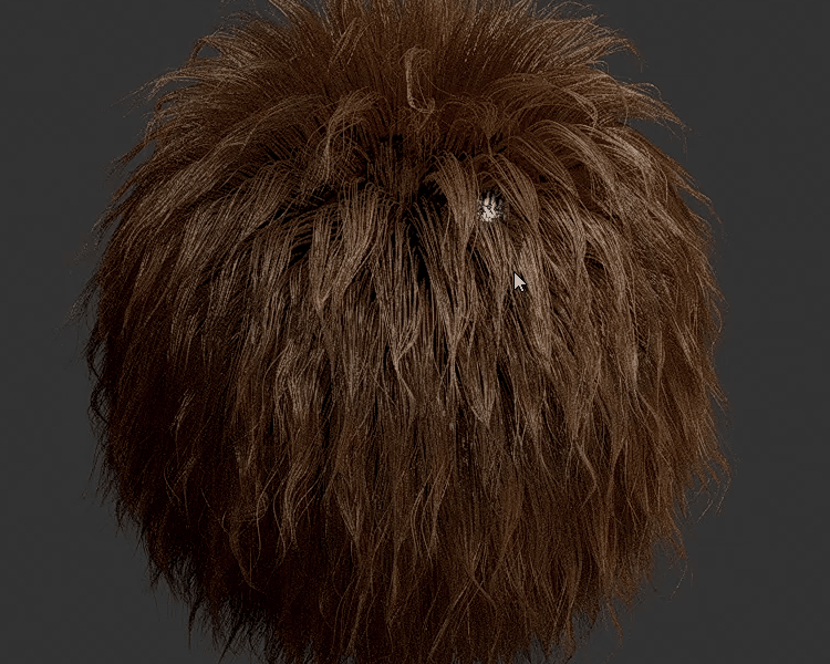 HairStylerでヘアーをグルーミングしている様子