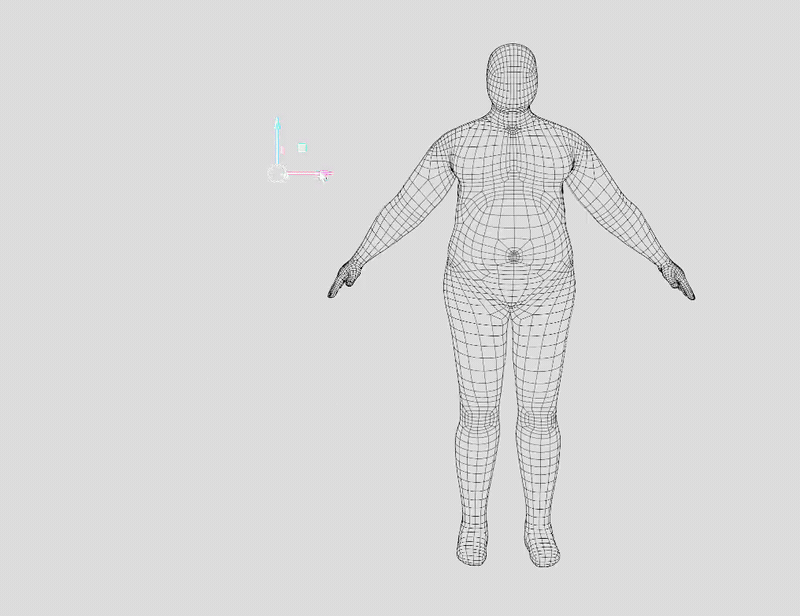 ワイヤーフレーム表示の素体が体型を変えても同じ四角ポリゴンの構造を保つアニメーション(画像: ThreeDee)